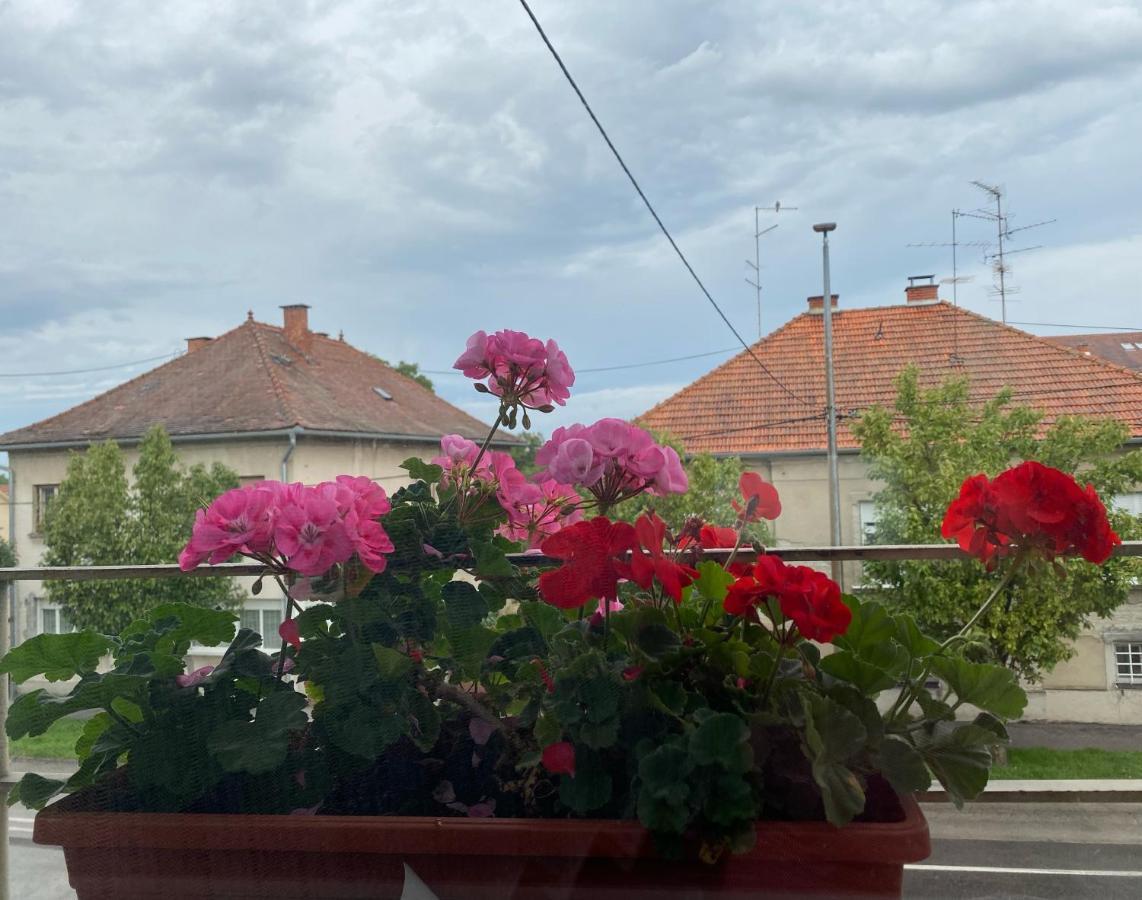 Apartman Cvjetnjak Čakovec Εξωτερικό φωτογραφία